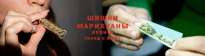 шишки Алзамай