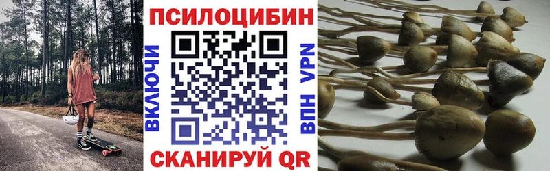 Галлюциногенные грибы Psilocybe  где можно купить   Крымск 